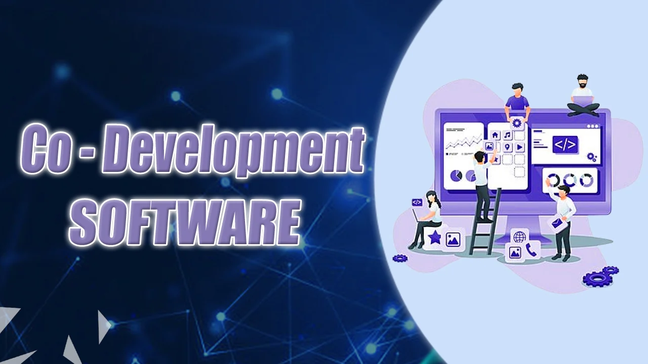 Co-development Software
